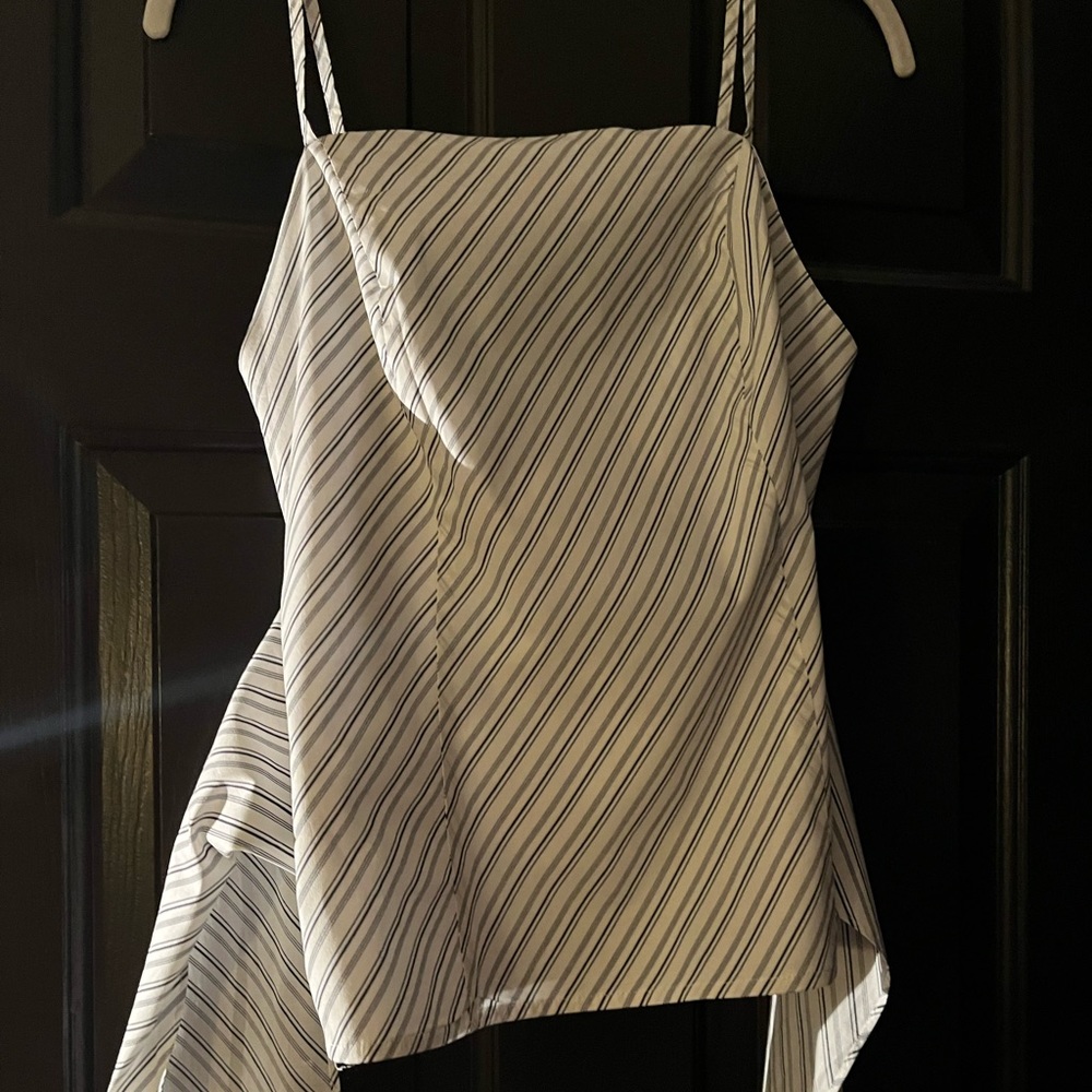VENUS Top